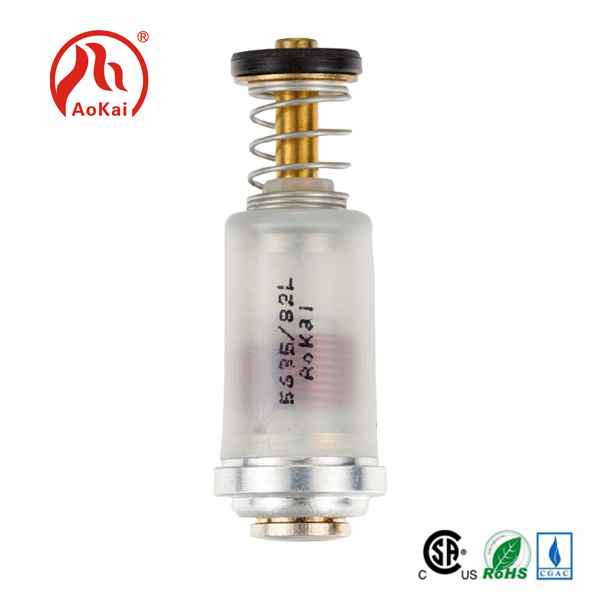 LPG me Ng Magnet Orkliid Valve